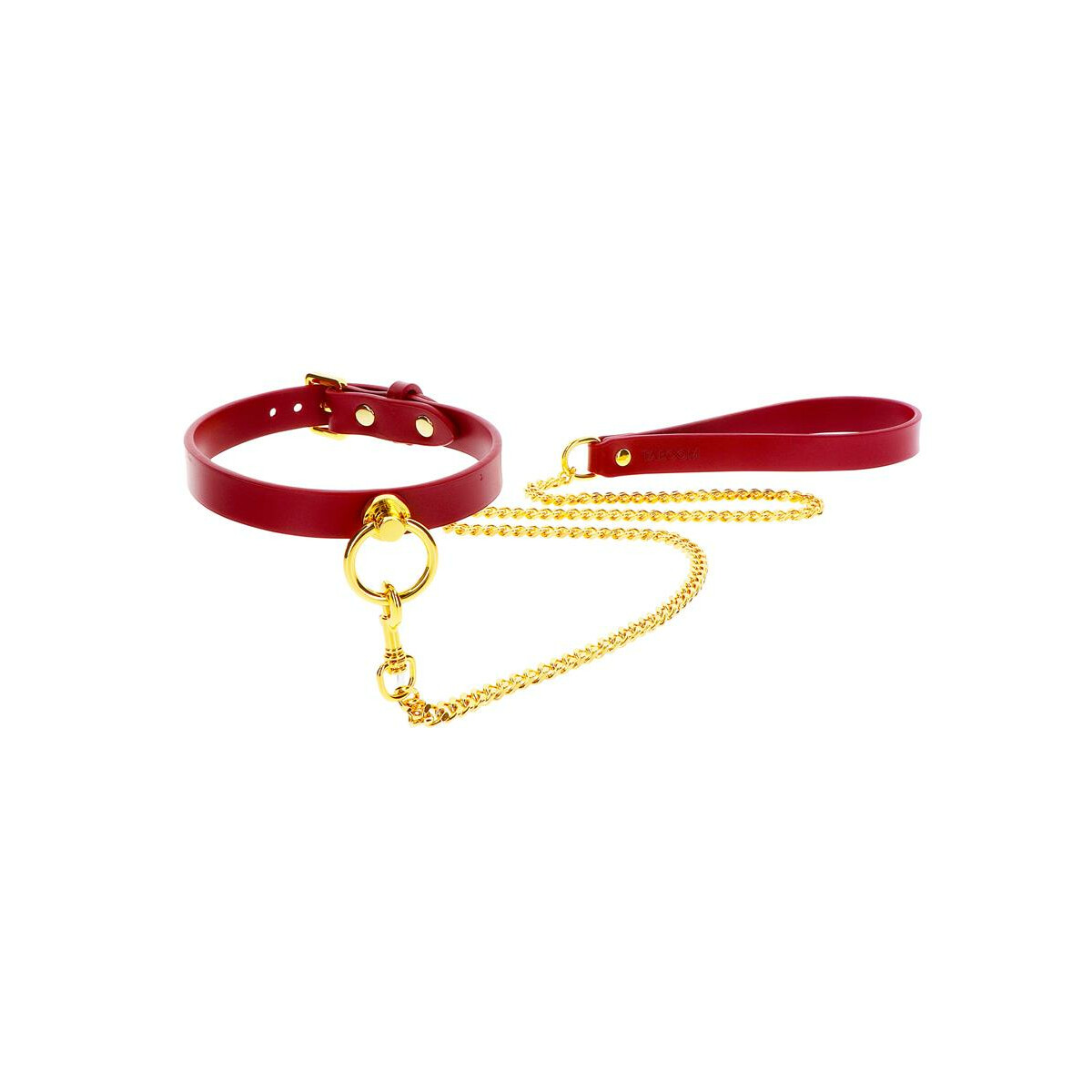 O-Ring Collar and Chain Leash